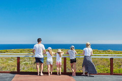 Cape Naturaliste Lighthouse Fully-guided Tour - Tourism Brisbane 3