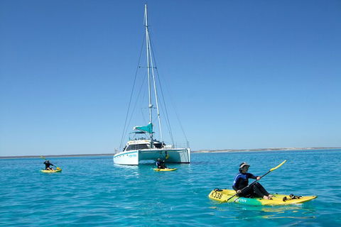 3 Night Ningaloo Reef Snorkel And Dive Getaway From Coral Bay - Tourism Brisbane 7