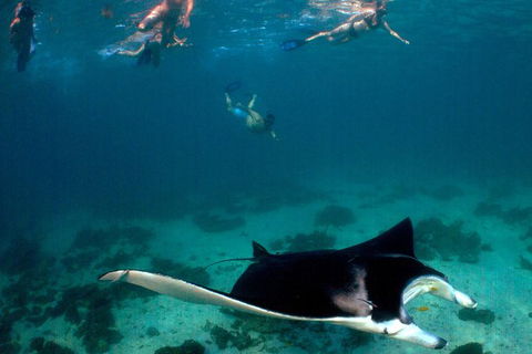 3 Night Ningaloo Reef Snorkel And Dive Getaway From Coral Bay - Tourism Brisbane 6
