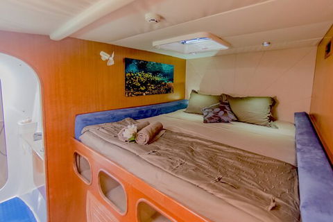 3 Night Ningaloo Reef Snorkel And Dive Getaway From Coral Bay - Tourism Brisbane 8