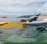 Seal Island and Penguin Island or Point Peron Sea Kayak Tour - Tourism Brisbane