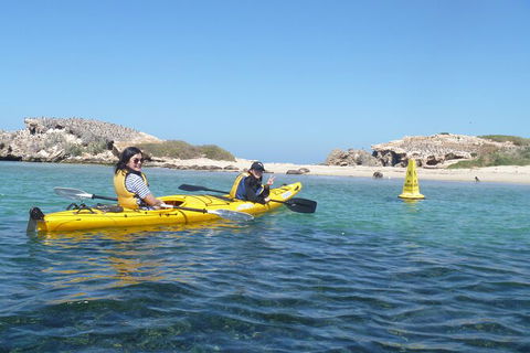 Seal Island And Penguin Island Or Point Peron Sea Kayak Tour - Tourism Brisbane 3
