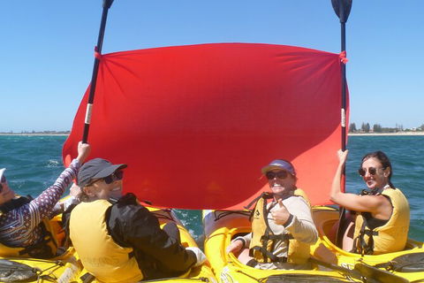 Seal Island And Penguin Island Or Point Peron Sea Kayak Tour - Tourism Brisbane 2