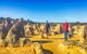 Pinnacles Day Trip Including Yanchep, Cave, Cervantes And Scarborough Beach - thumb 1