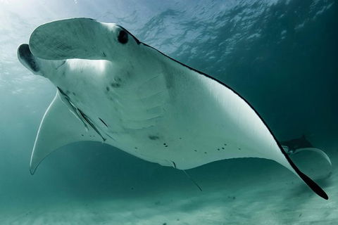 6-Day Coral Coaster From Perth To Exmouth One-Way Via Monkey Mia Ningaloo Reef - Tourism Brisbane 1