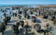 6-Day Coral Coaster From Perth To Exmouth One-Way Via Monkey Mia Ningaloo Reef - thumb 7