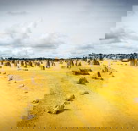 1 Day Pinnacles Wildlife  Sandboarding - Tourism Brisbane