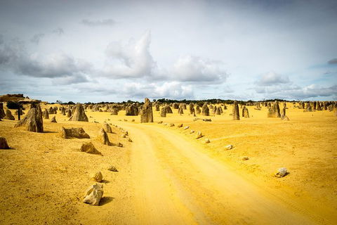 1 Day Pinnacles, Wildlife & Sandboarding - Tourism Brisbane 0