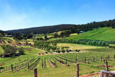 Cider, Wine & Cheese In The Perth Hills - Half-Day Premium Small Group Tour - Tourism Brisbane 1
