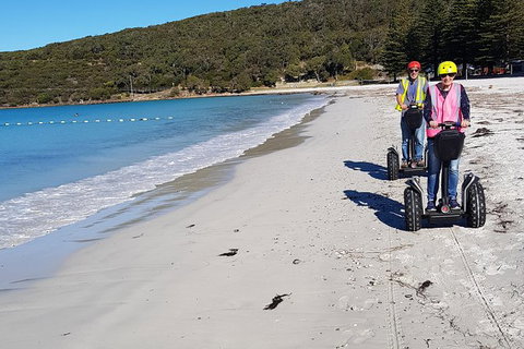 Albany Summit To Sea Adventure - Guided Segway Tour - Tourism Brisbane 3