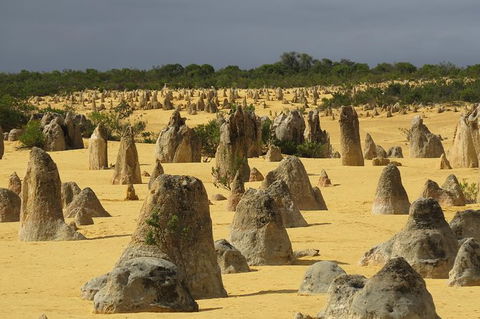 Pinnacles & Rottnest Island Scenic Air & Ground Tour - Tourism Brisbane 6