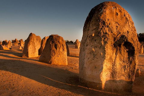 Pinnacles & Rottnest Island Scenic Air & Ground Tour - Tourism Brisbane 2