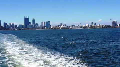 Swan River Scenic Cruise - Tourism Brisbane 2