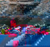 Dunsborough Jet Boat Sea Safari Along Cape Naturaliste Coast - Tourism Brisbane