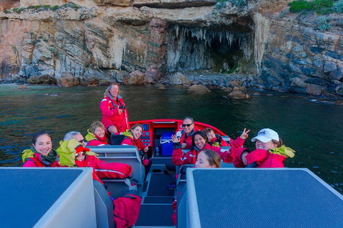 Dunsborough Jet Boat Sea Safari Along Cape Naturaliste Coast - Brisbane Tourism 0