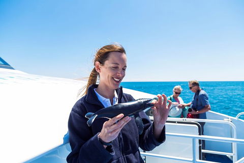 Whale-Watching Cruise And Hillarys Boat Harbour Day Trip From Perth - Tourism Brisbane 6