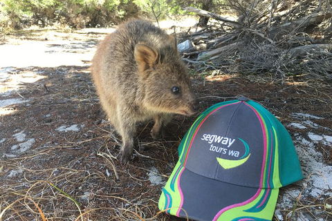 Rottnest Island Segway Tour: Fortress Adventure Tour - Tourism Brisbane 3