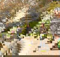 Perth East Foreshore and City Segway Tour - Tourism Brisbane