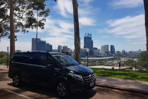 1-Day Pinnacles And Yanchep Tour From Perth Including Fish And Chips Lunch - Tourism Brisbane 3
