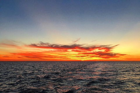 Half-Day Whale Watching Sunset Cruise From Broome - Brisbane Tourism 8