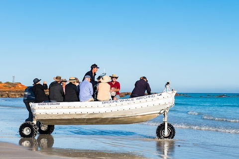 Half-Day Whale Watching Sunset Cruise From Broome - Brisbane Tourism 11
