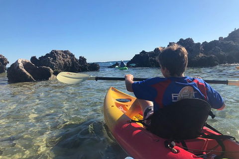 Penguin Island And Fremantle - Canoe, Chocolate & Coffee - Tourism Brisbane 0