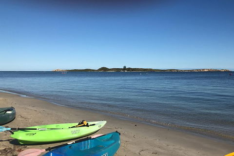 Penguin Island And Fremantle - Canoe, Chocolate & Coffee - Tourism Brisbane 4