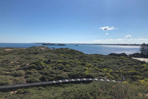 Penguin Island And Fremantle - Canoe, Chocolate & Coffee - Tourism Brisbane 12