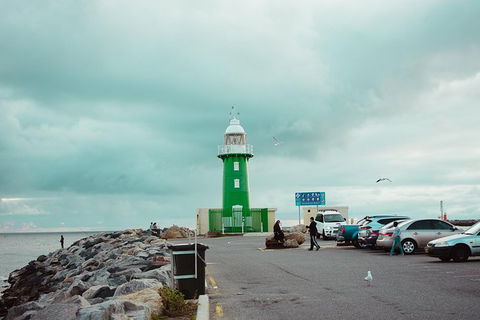 Penguin Island And Fremantle - Canoe, Chocolate & Coffee - Tourism Brisbane 6