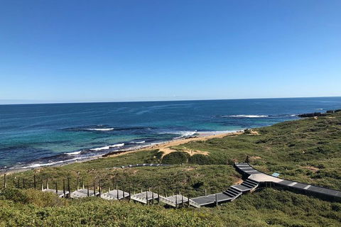 Penguin Island And Fremantle - Canoe, Chocolate & Coffee - Tourism Brisbane 3