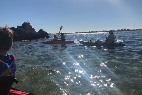 Penguin Island And Fremantle - Canoe, Chocolate & Coffee - Tourism Brisbane 11