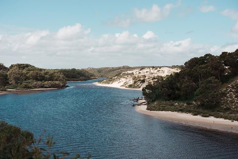 Yanchep & Lancelin - Wildlife, Cave And Sands - Tourism Brisbane 6