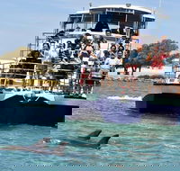 Mandurah Dolphin and Scenic Marine Cruise - Tourism Brisbane