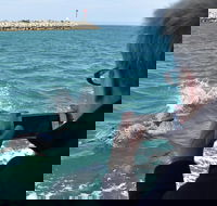 Mandurah Dolphin Island Adventure - Tourism Brisbane
