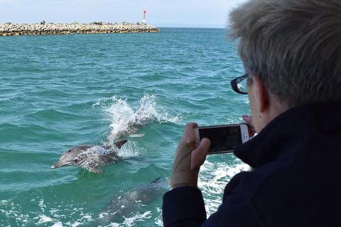 Mandurah Dolphin Island Adventure - Tourism Brisbane 0