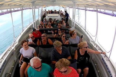 Mandurah Dolphin Island Adventure - Tourism Brisbane 12