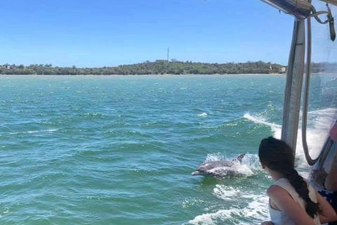 Mandurah Dolphin Island Adventure - Tourism Brisbane 9