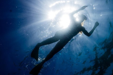 Ningaloo Reef Or Muiron Islands Snorkeling And Wildlife Adventure - Brisbane Tourism 6