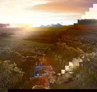Leeuwin Estate Food and Wine Experience - Tourism Brisbane