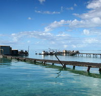 Full Day Guided Abrolhos Fly and Flipper Tour from Geraldton - Tourism Brisbane