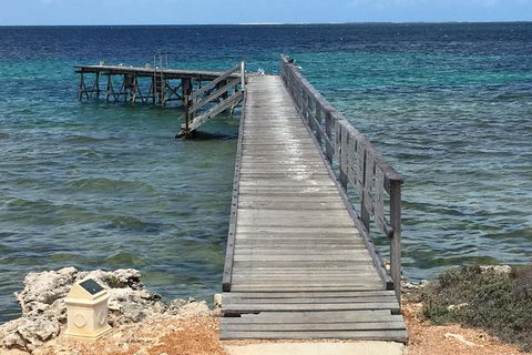 Abrolhos Flyover With Morning Tea On East Wallaby Island - Tourism Brisbane 1