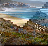 8-Day Cape to Cape Track Guided Walking Tour from Perth - Tourism Brisbane