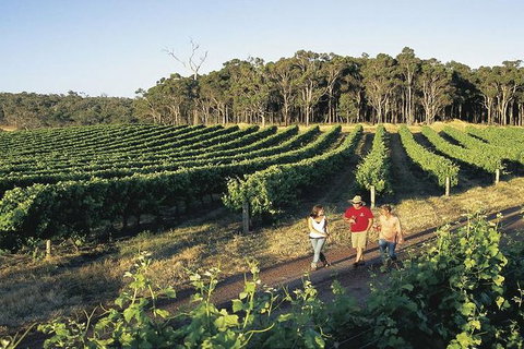2-Day Margaret River Wine Experience From Perth - Brisbane Tourism 4