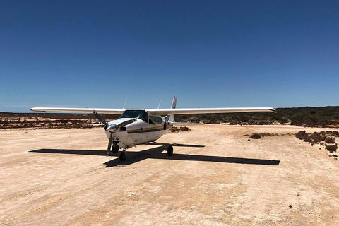 Kalbarri Gorges & West Coast - Ground & Air Tour - Tourism Brisbane 6