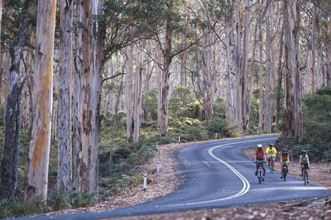 Margaret River And Geographe Bay Region Day Trip From Perth - Tourism Brisbane 6