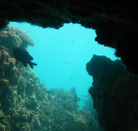 Half-Day Abrolhos Islands Shipwreck Air and Land Tour from Geraldton - Tourism Brisbane