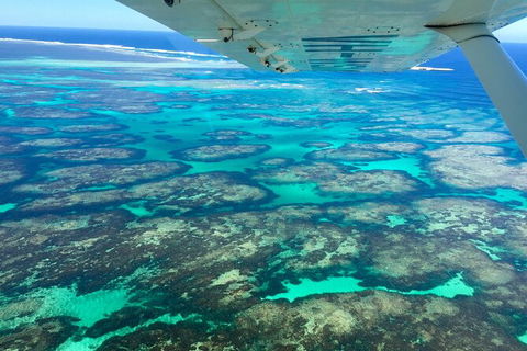 Kalbarri, Pink Lake And Abrolhos Islands Nature Tour - Tourism Brisbane 5
