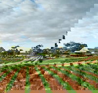 Vasse Felix Winery Tour and Tasting - Tourism Brisbane