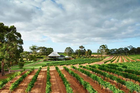 Vasse Felix Winery Tour And Tasting - Brisbane 4u 0