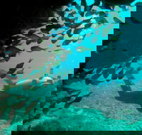 Scuba Dive Ningaloo Reef - Brisbane Tourism